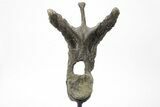 Rare, Stegosaurus Dorsal Vertebra on Metal Stand - Wyoming #227555-4